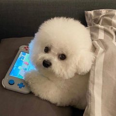 披荆斩棘和哪个好看